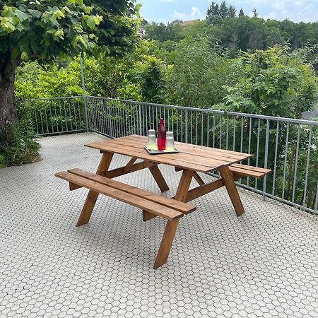 Paisible Eden Standing Terrasse - Magnifique Vue - Esprit Nature En Pleine Ville Tulle Esterno foto