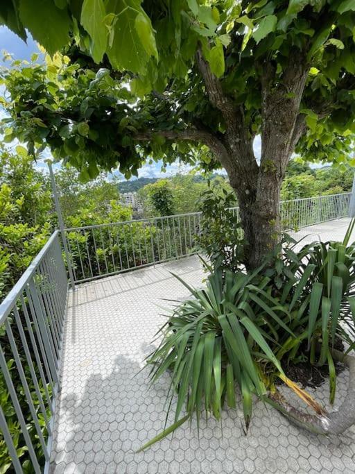 Paisible Eden Standing Terrasse - Magnifique Vue - Esprit Nature En Pleine Ville Tulle Esterno foto