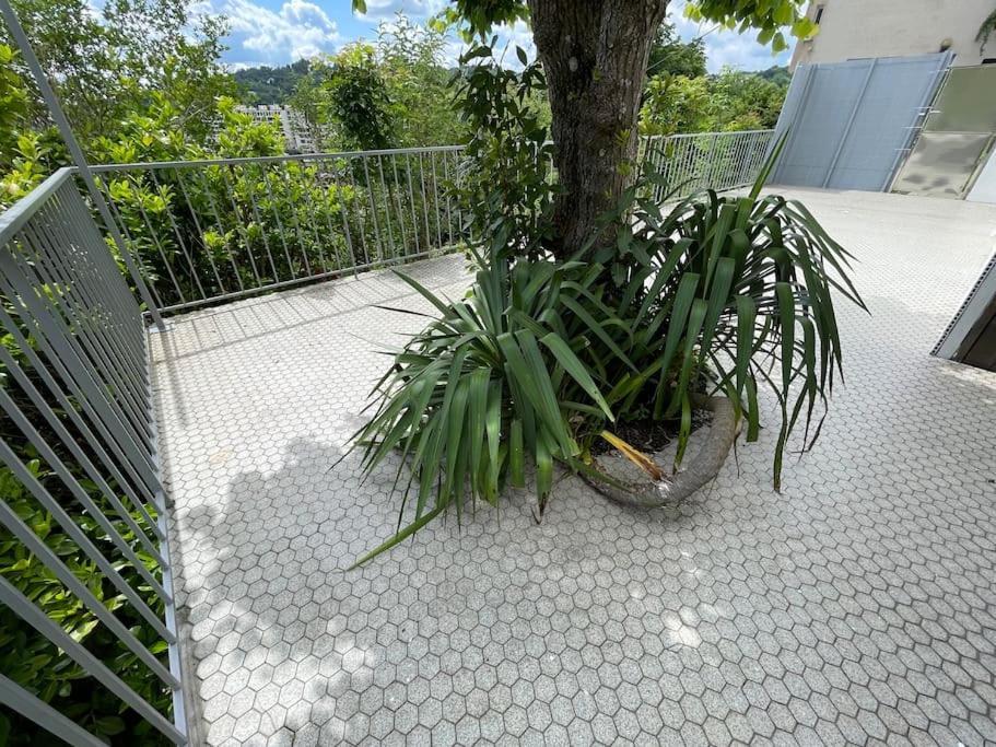 Paisible Eden Standing Terrasse - Magnifique Vue - Esprit Nature En Pleine Ville Tulle Esterno foto
