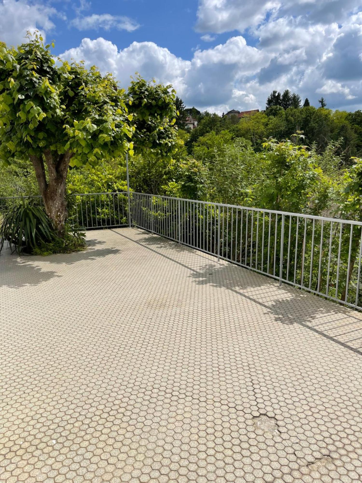 Paisible Eden Standing Terrasse - Magnifique Vue - Esprit Nature En Pleine Ville Tulle Esterno foto